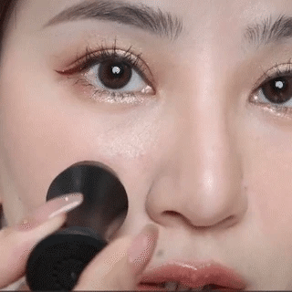 TouchUp And More: Volcanic Stone Oil Absorber Roller